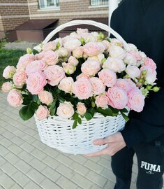 Корзина из 31 кустовых роз 