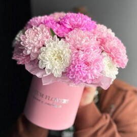 Compliment composition/pink bush chrysanthemum/Ufa flowers/Ufa delivery