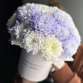 Compliment composition/bush chrysanthemum /Ufa flowers/Ufa delivery