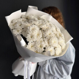 Bouquet /chrysanthemum bush/Ufa flowers/Ufa delivery
