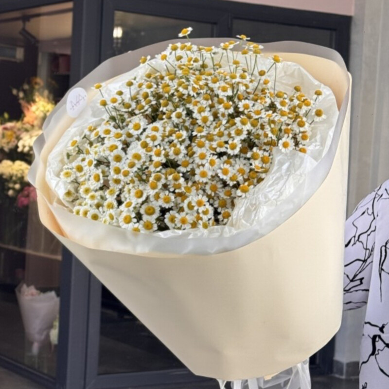 Bouquet of daisies , standart