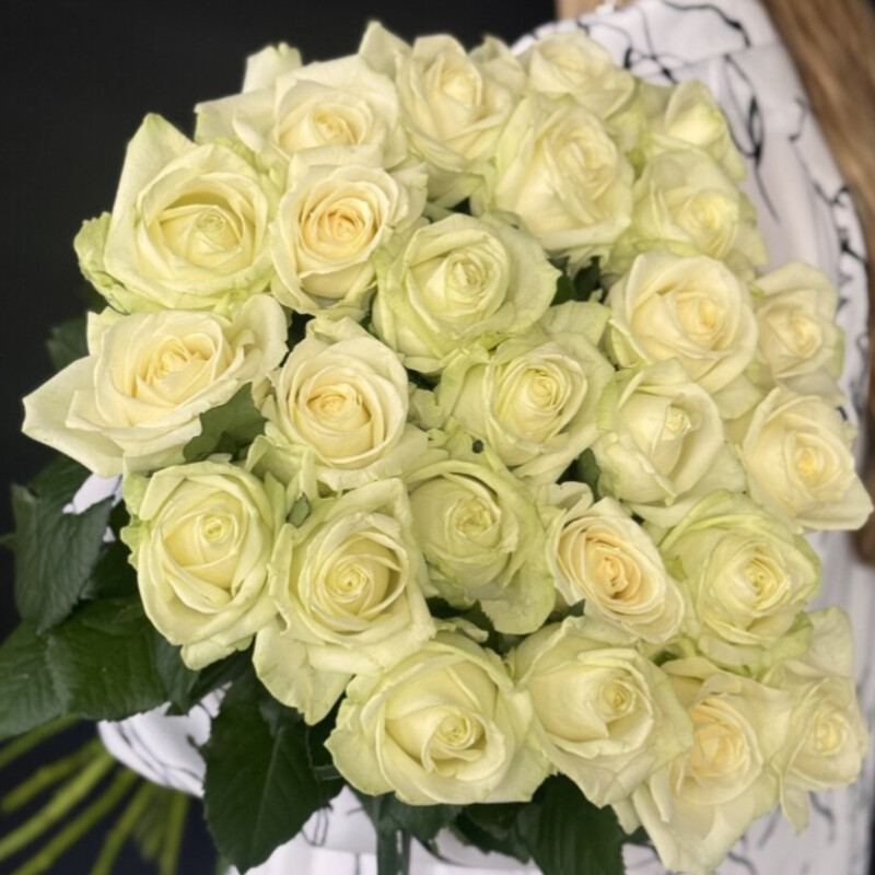 25 white roses , premium