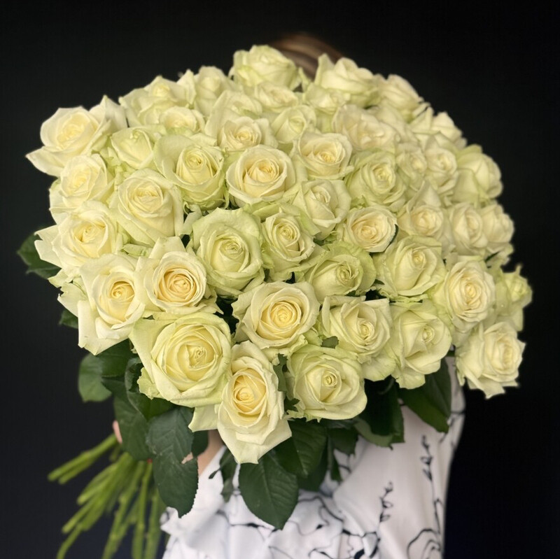 51 white roses , premium