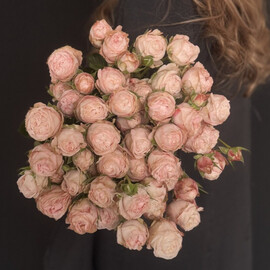 9 кустовых пионовидных роз 