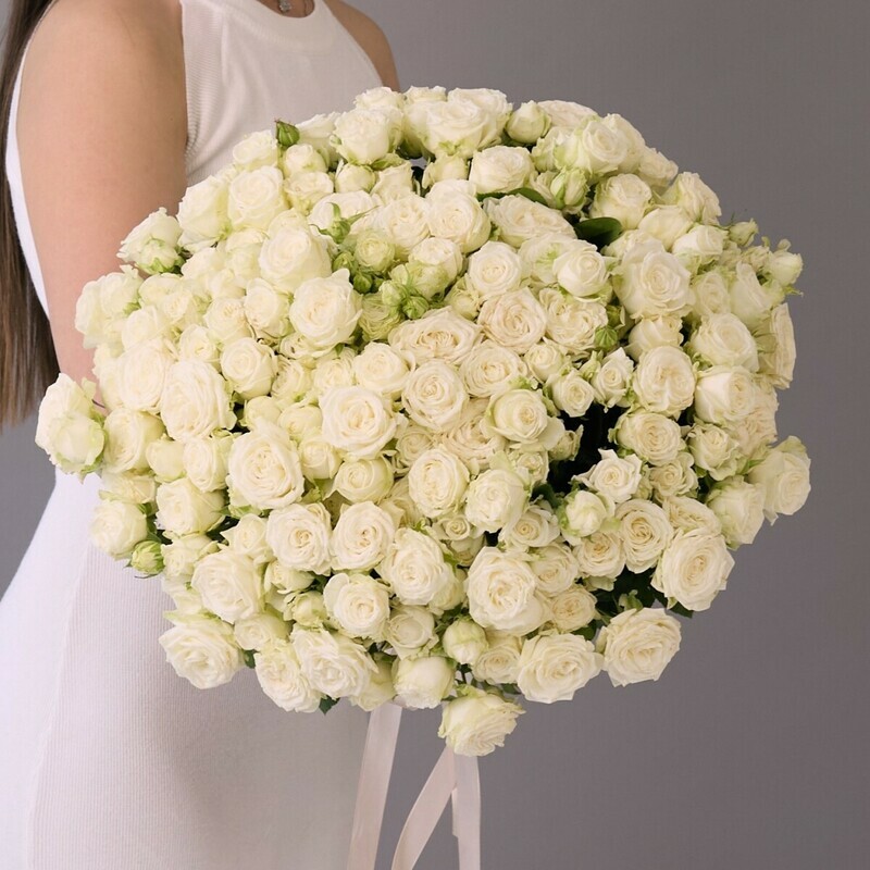 White bush roses under the ribbon, belie kustovie rozi pod lentu (51 sht)