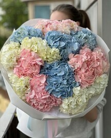 Hydrangea Mix