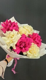 White and crimson French roses