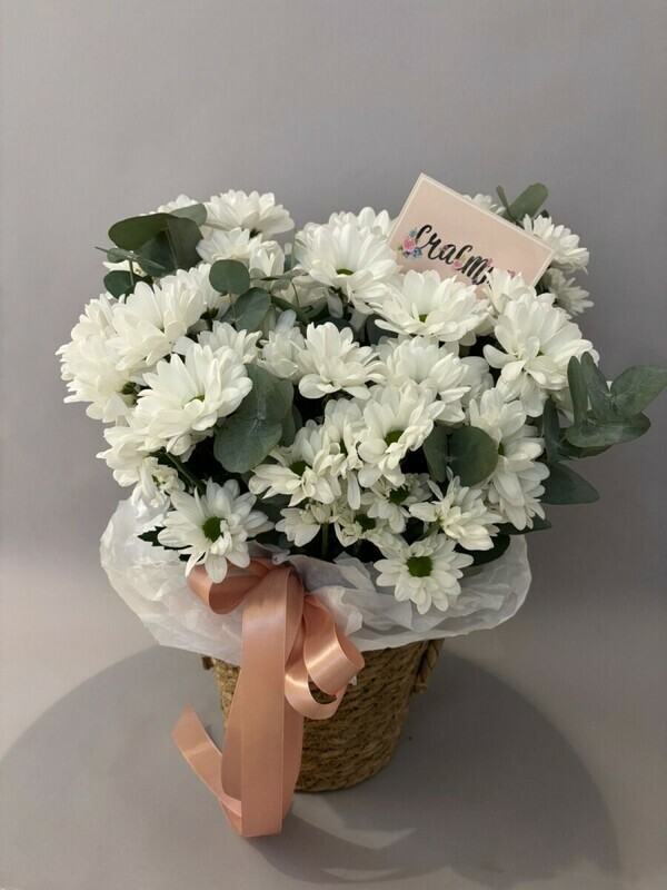 Korzina iz hrizantem, standart