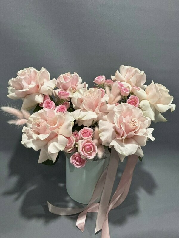 Nezhnoe poslanie, standart