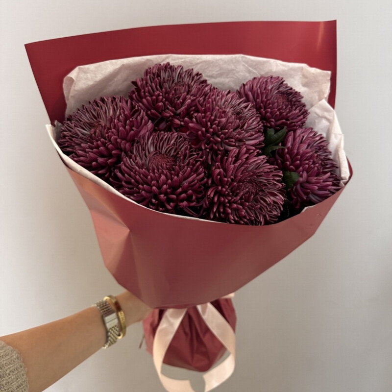 Barhatnoe utro, barhatnoe utro