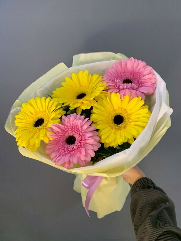 TCvetnie gerberi, tcvetnie gerberi