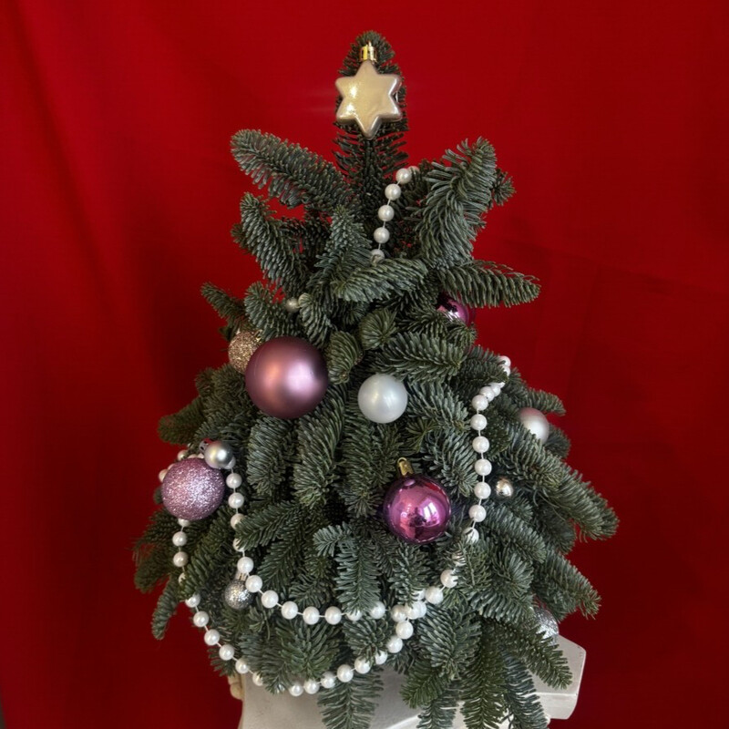 Novogodnyaya kompozitciya, standart