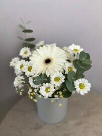 Белое сокровище