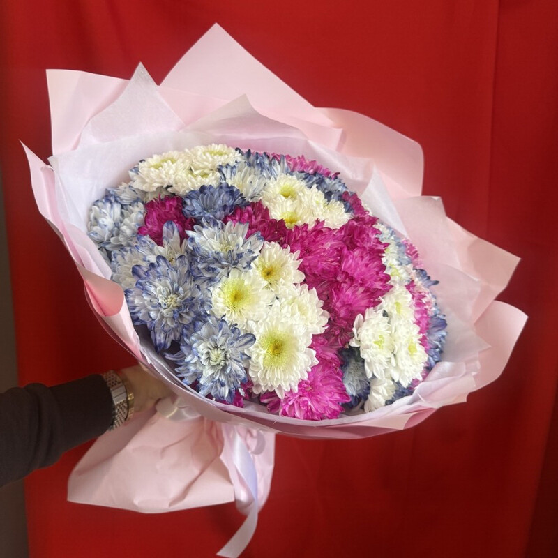 Buket iz raznotcvetnih hrizantem, buket iz raznotcvetnih hrizantem