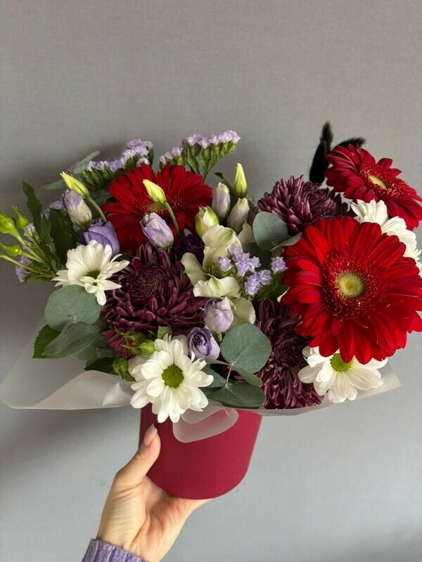 Мечты в коробке , стандартный