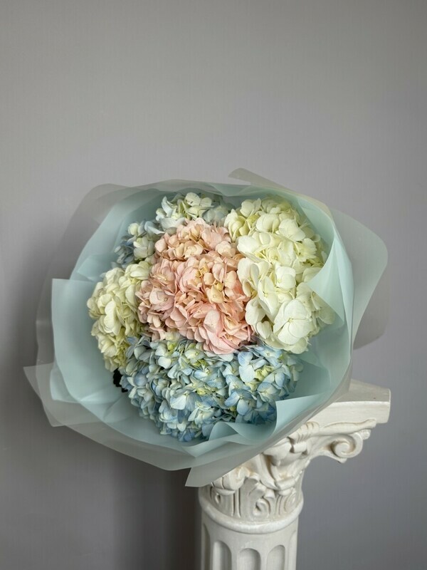 Облачное настроение , облачное настроение 