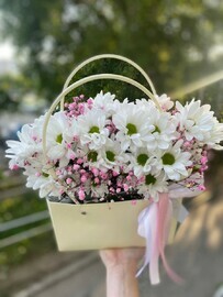 Sumochka s hrizantemoj