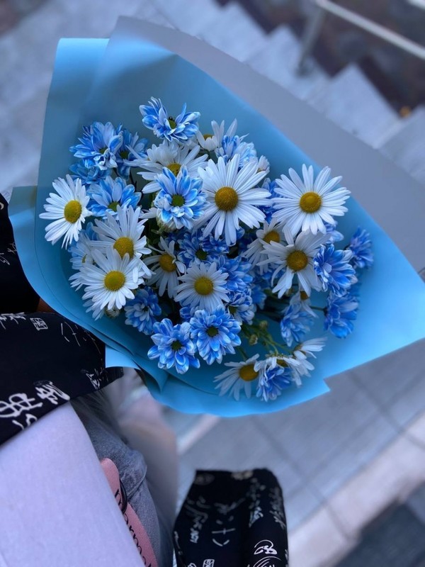 Ромашки, стандартный