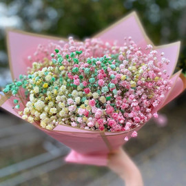 Радужная гипсофила