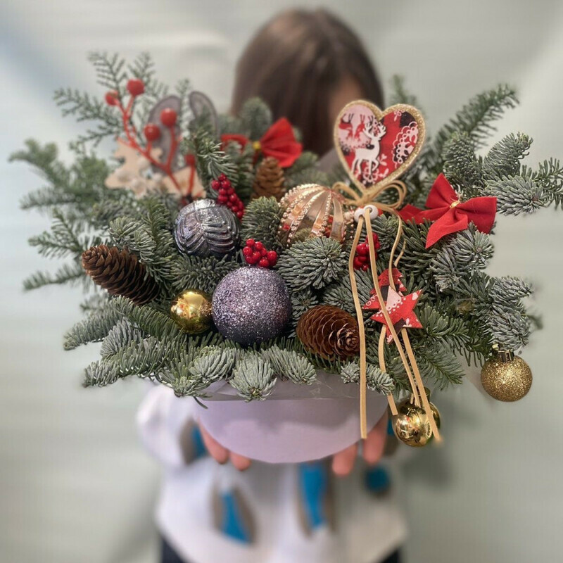 zimnee ocharovanie, standart