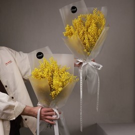 Монобукет из ароматной мимозы 