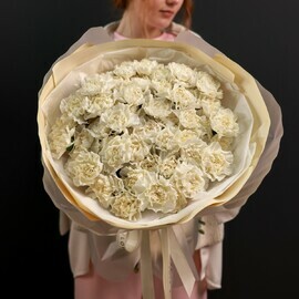 Monobucket of 51 cream carnations