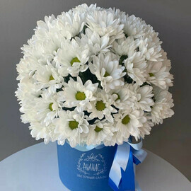 Kompozitciya iz hrizantem v korobke