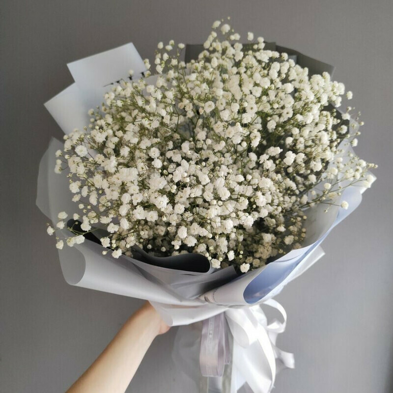 Monobuket iz gipsofil, standart