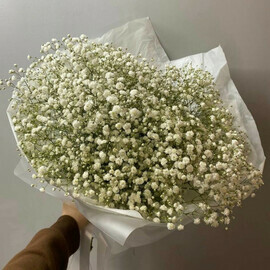 Monobuket iz beloj gipsofili