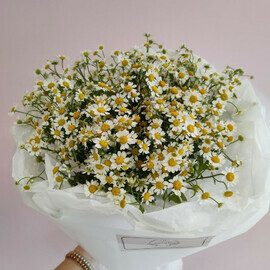 Monobuket iz romashek