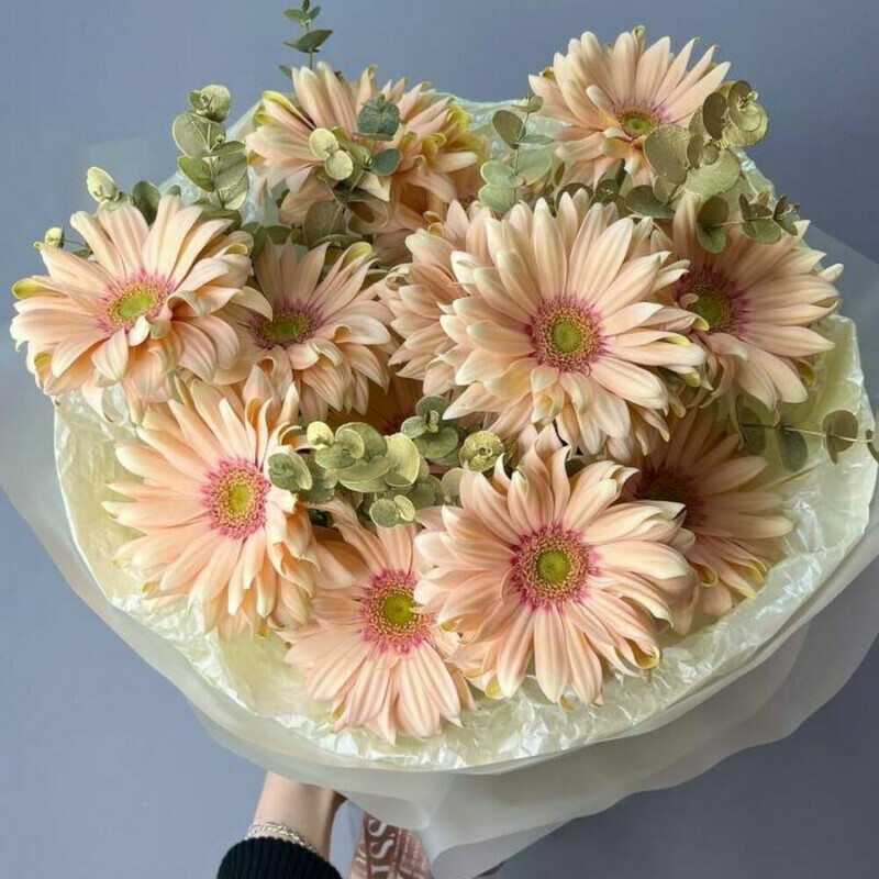 Monobuket iz gerber s evkaliptom, standart