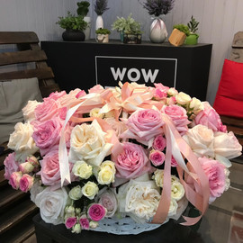 Korzina pionovidnih roz "Aromatnoe ocharovanie"