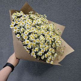 Buket solnechnih romashek