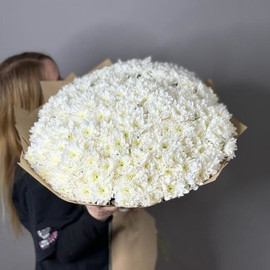 Огромный букет из белой хризантемы