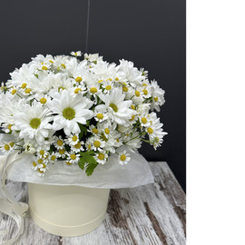 Нежная коробочка с ромашками