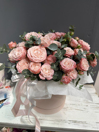 SHikarnaya korobochka kustovih pionovidnih roz