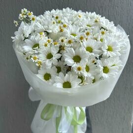 Ромашковый микс 