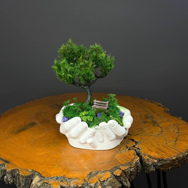 Vechnij mossarium-florarium s stabilizirovannim mhom "Ladoni", standart