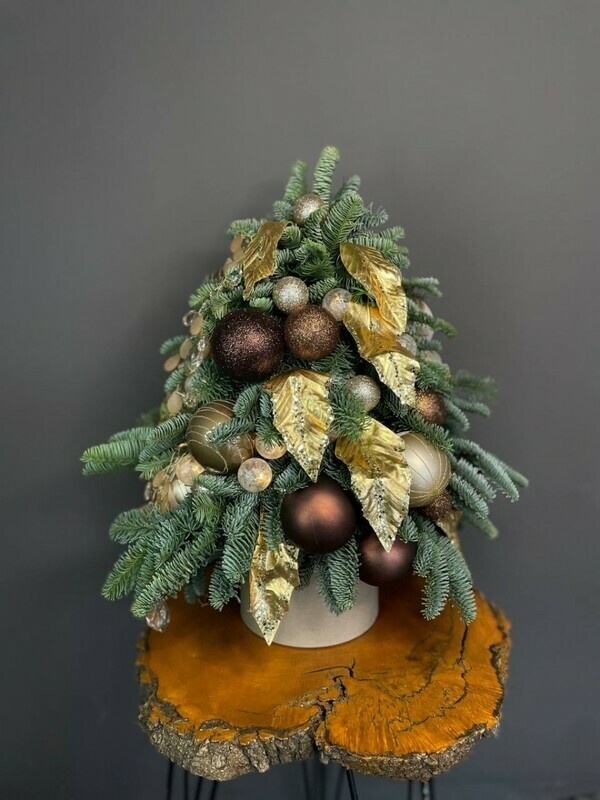 Dizajnerskaya elka iz nobilisa v inter_er s girlyandoj, luxe