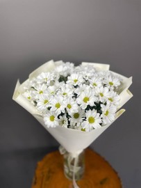 Моно букет из ромашковых хризантем