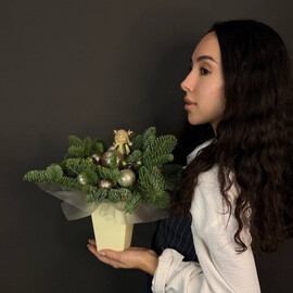 Novogodnyaya kompozitciya v korobochke iz nobilisa s igrushkami, zoloto