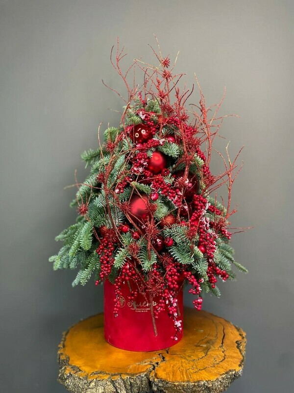 Inter_ernaya elka iz nobilisa krasnaya, premium