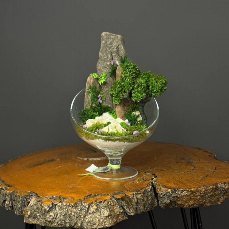 Mossarium-florarium v vaze s stabilizirovannim mhom, standart