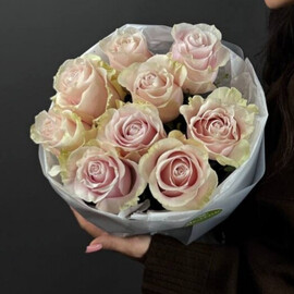 Mono buket iz nezhno-rozovih roz 9 sht v krugloj upakovke