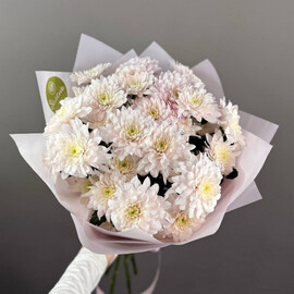 Букет из кустовых хризантем моно для учителя