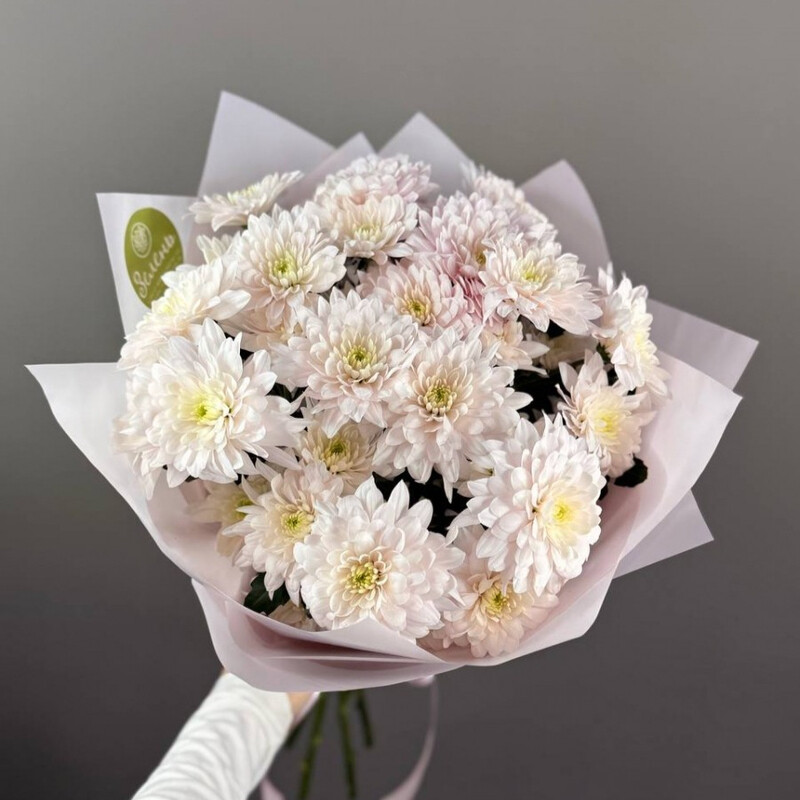 Букет из кустовых хризантем моно для учителя, уменьшенный