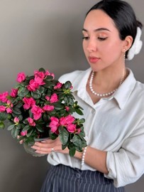 Азалия Д14-Н30 ярко розовая