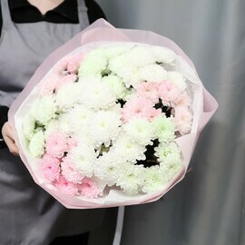 Mono buket iz kustovoj hrizantemi