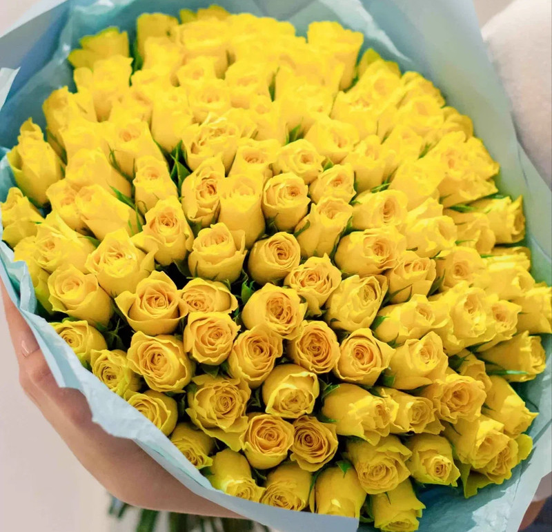 101 zheltaya roza, luxe