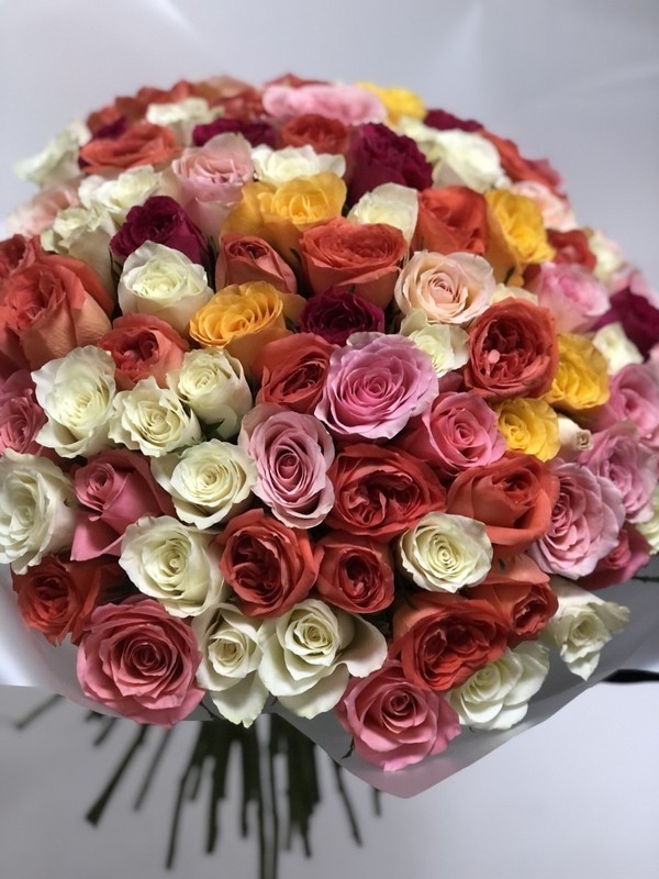 101 yarkij mix, 101 mix